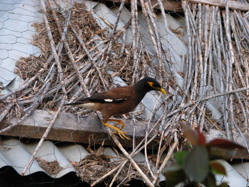 Amunuca-Resort-Tokoriki-Island-Mamanuca-Group-Fiji-066