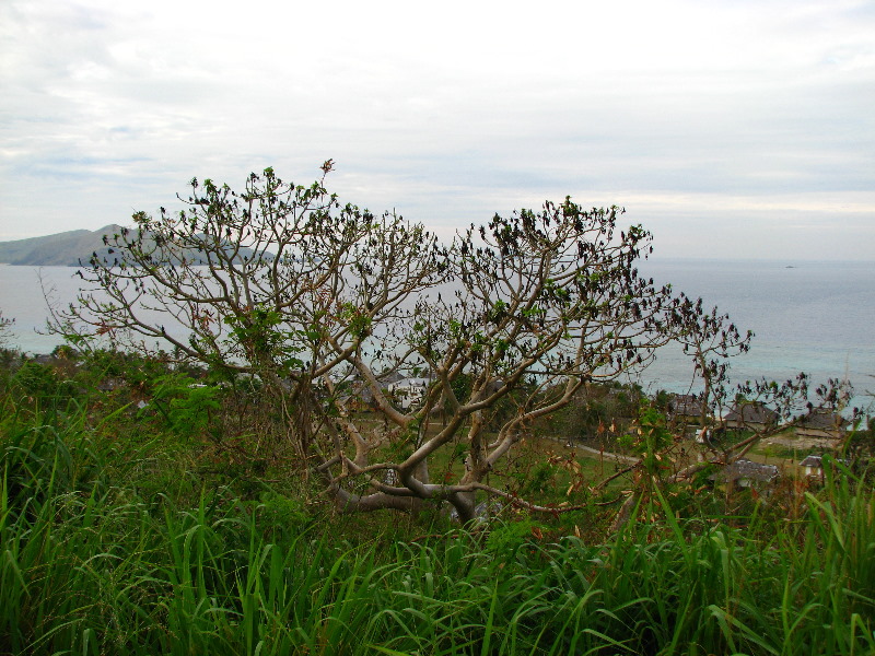 Amunuca-Resort-Tokoriki-Island-Mamanuca-Group-Fiji-076