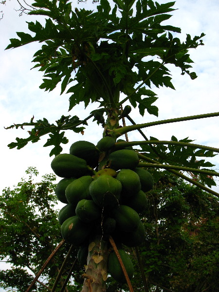 Amunuca-Resort-Tokoriki-Island-Mamanuca-Group-Fiji-108