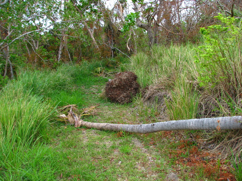 Amunuca-Resort-Tokoriki-Island-Mamanuca-Group-Fiji-116