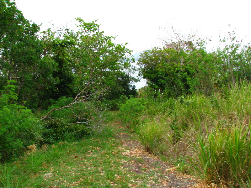 Amunuca-Resort-Tokoriki-Island-Mamanuca-Group-Fiji-117