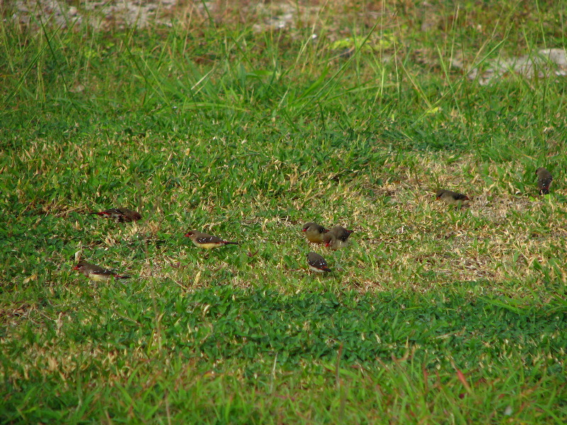 Amunuca-Resort-Tokoriki-Island-Mamanuca-Group-Fiji-122