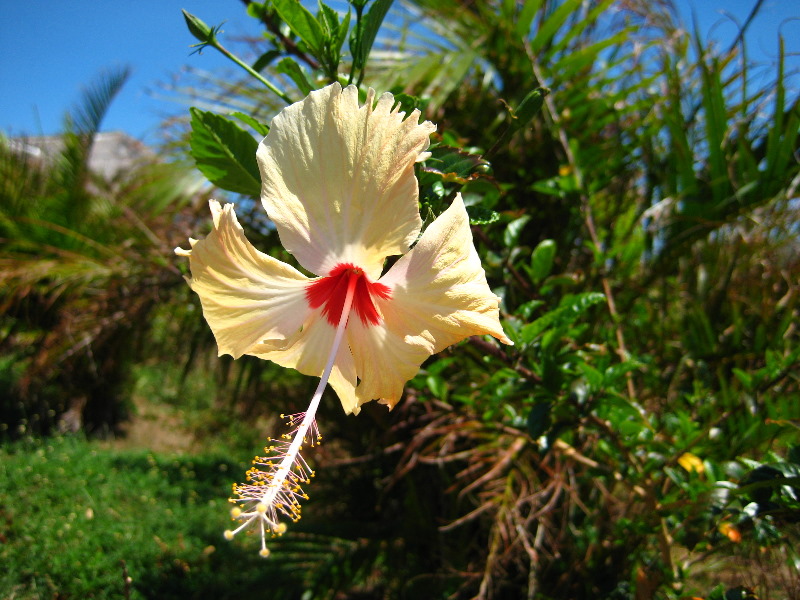 Amunuca-Resort-Tokoriki-Island-Mamanuca-Group-Fiji-130