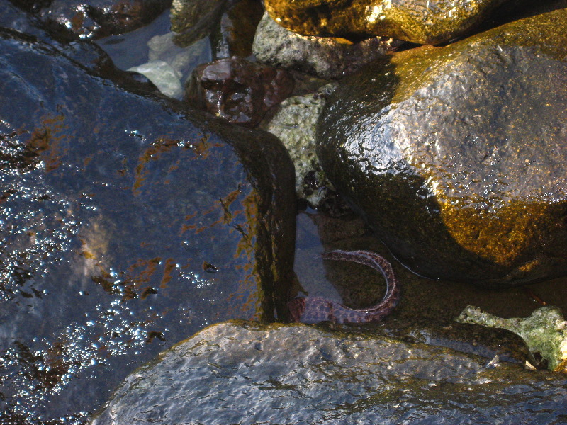 Amunuca-Resort-Tokoriki-Island-Mamanuca-Group-Fiji-144