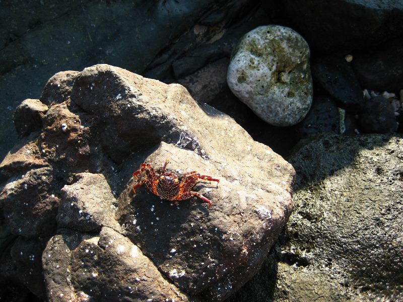 Amunuca-Resort-Tokoriki-Island-Mamanuca-Group-Fiji-147