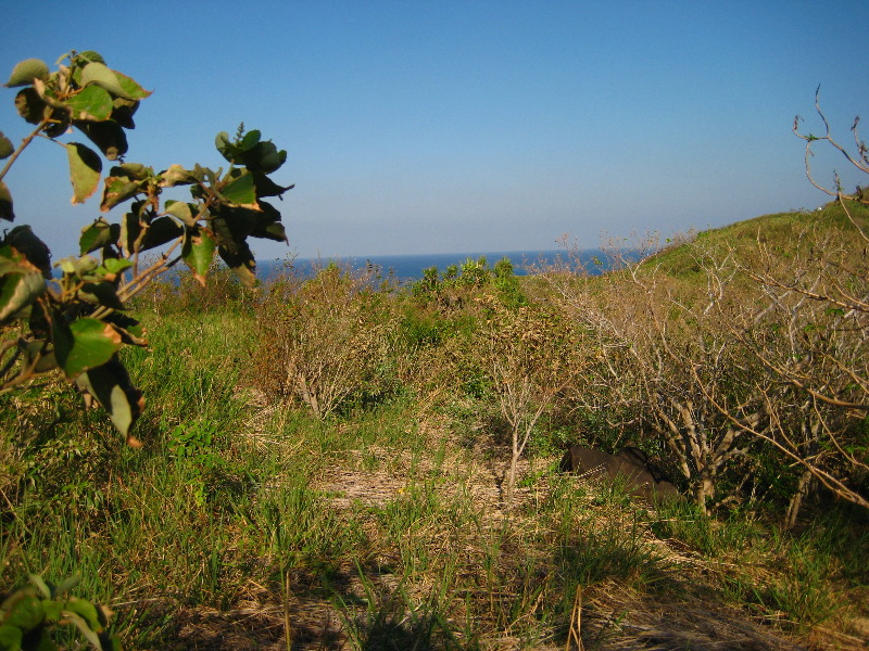 Amunuca-Resort-Tokoriki-Island-Mamanuca-Group-Fiji-156