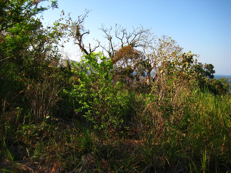 Amunuca-Resort-Tokoriki-Island-Mamanuca-Group-Fiji-158