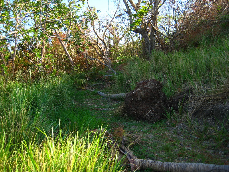 Amunuca-Resort-Tokoriki-Island-Mamanuca-Group-Fiji-159