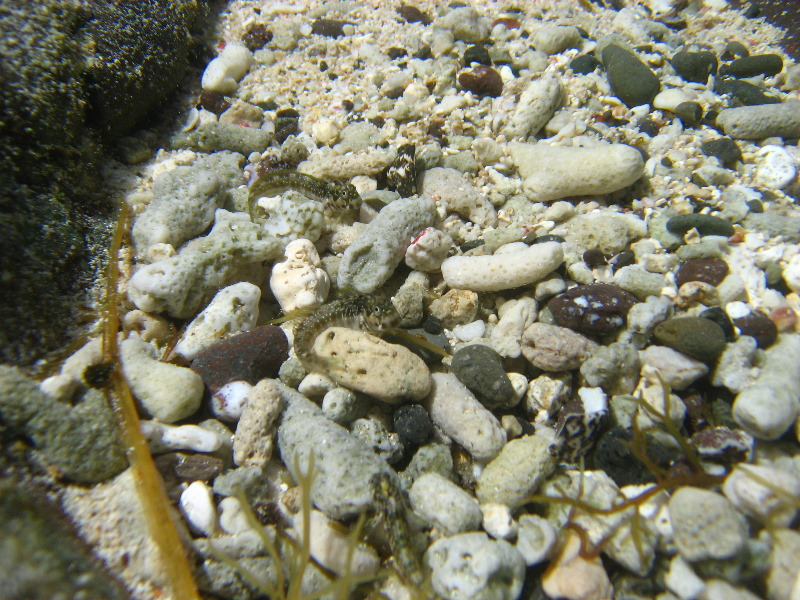 Amunuca-Resort-Tokoriki-Island-Mamanuca-Group-Fiji-176