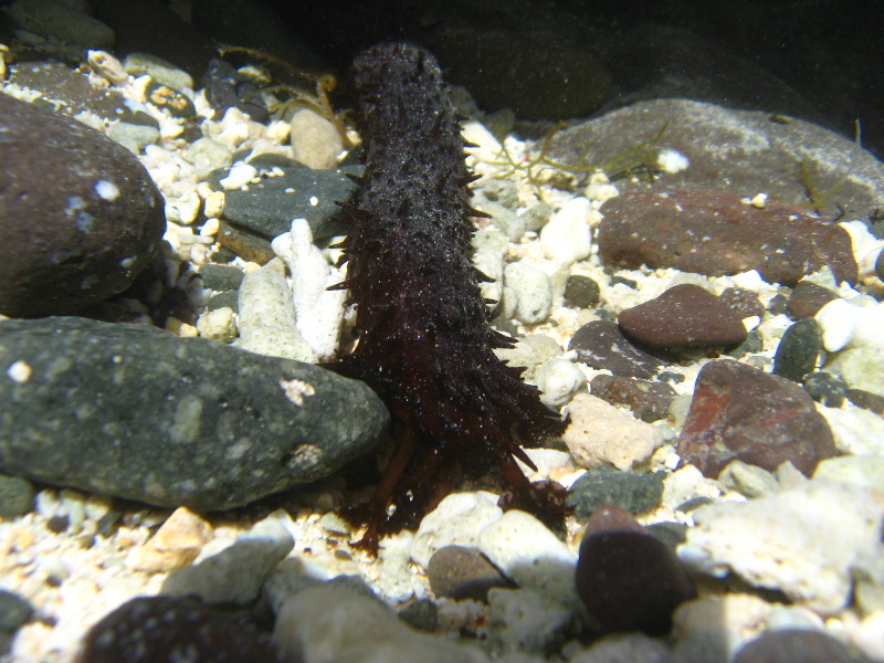 Amunuca-Resort-Tokoriki-Island-Mamanuca-Group-Fiji-181