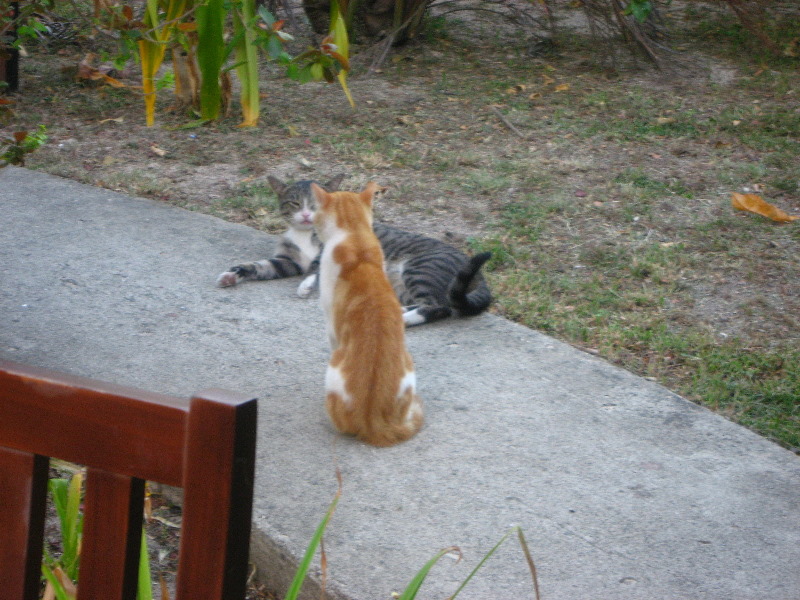 Amunuca-Resort-Tokoriki-Island-Mamanuca-Group-Fiji-195