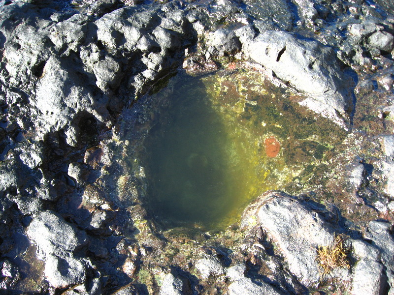 Amunuca-Resort-Tokoriki-Island-Mamanuca-Group-Fiji-219