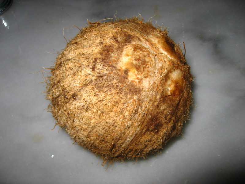 Amunuca-Resort-Tokoriki-Island-Mamanuca-Group-Fiji-228