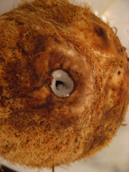 Amunuca-Resort-Tokoriki-Island-Mamanuca-Group-Fiji-229