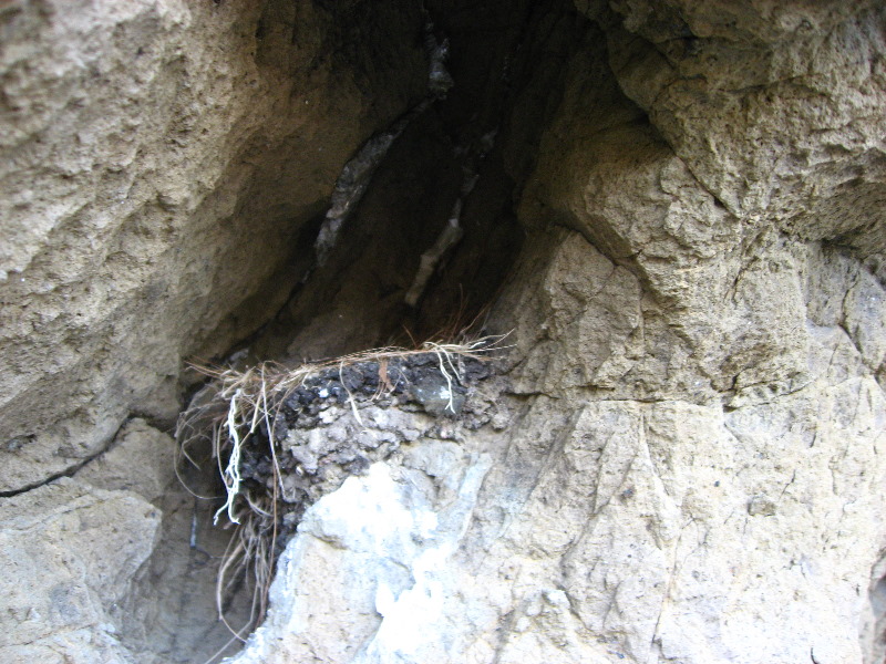 Amunuca-Resort-Tokoriki-Island-Mamanuca-Group-Fiji-258