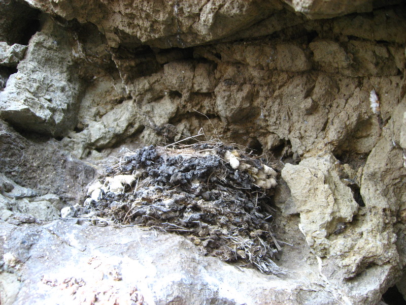 Amunuca-Resort-Tokoriki-Island-Mamanuca-Group-Fiji-259