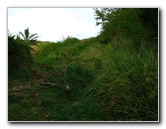 Amunuca-Resort-Tokoriki-Island-Mamanuca-Group-Fiji-068