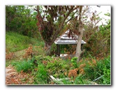 Amunuca-Resort-Tokoriki-Island-Mamanuca-Group-Fiji-103