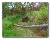 Amunuca-Resort-Tokoriki-Island-Mamanuca-Group-Fiji-116