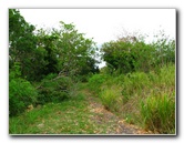 Amunuca-Resort-Tokoriki-Island-Mamanuca-Group-Fiji-117