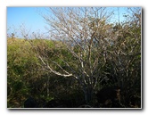 Amunuca-Resort-Tokoriki-Island-Mamanuca-Group-Fiji-155