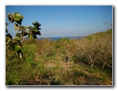 Amunuca-Resort-Tokoriki-Island-Mamanuca-Group-Fiji-156