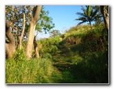 Amunuca-Resort-Tokoriki-Island-Mamanuca-Group-Fiji-160