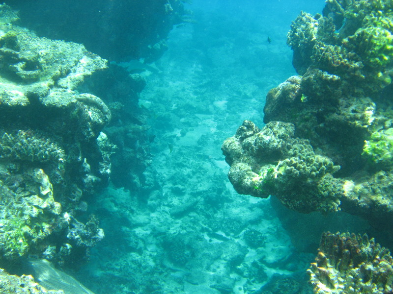 Fiji-Snorkeling-Underwater-Pictures-Amunuca-Resort-269
