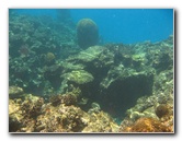 Fiji-Snorkeling-Underwater-Pictures-Amunuca-Resort-041