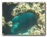 Fiji-Snorkeling-Underwater-Pictures-Amunuca-Resort-043