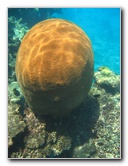 Fiji-Snorkeling-Underwater-Pictures-Amunuca-Resort-046