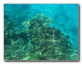 Fiji-Snorkeling-Underwater-Pictures-Amunuca-Resort-049