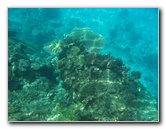 Fiji-Snorkeling-Underwater-Pictures-Amunuca-Resort-049