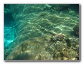 Fiji-Snorkeling-Underwater-Pictures-Amunuca-Resort-101