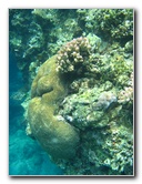 Fiji-Snorkeling-Underwater-Pictures-Amunuca-Resort-261