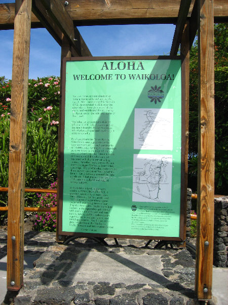 Anaehoomalu-Beach-Snorkeling-Kohala-Coast-Kona-Big-Island-Hawaii-010