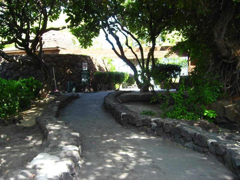 Anaehoomalu-Beach-Snorkeling-Kohala-Coast-Kona-Big-Island-Hawaii-011