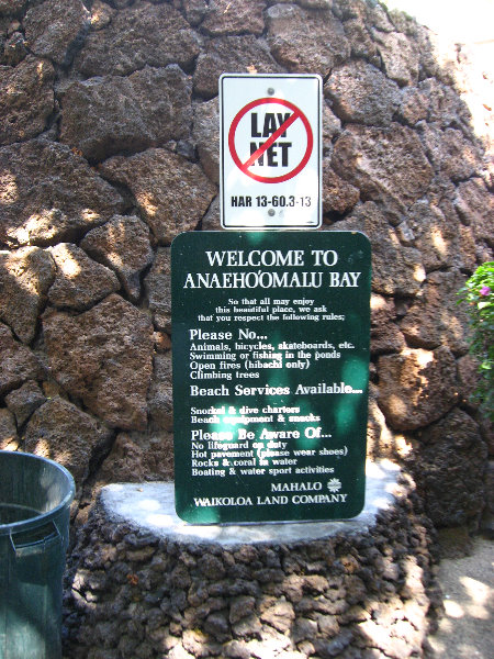 Anaehoomalu-Beach-Snorkeling-Kohala-Coast-Kona-Big-Island-Hawaii-012