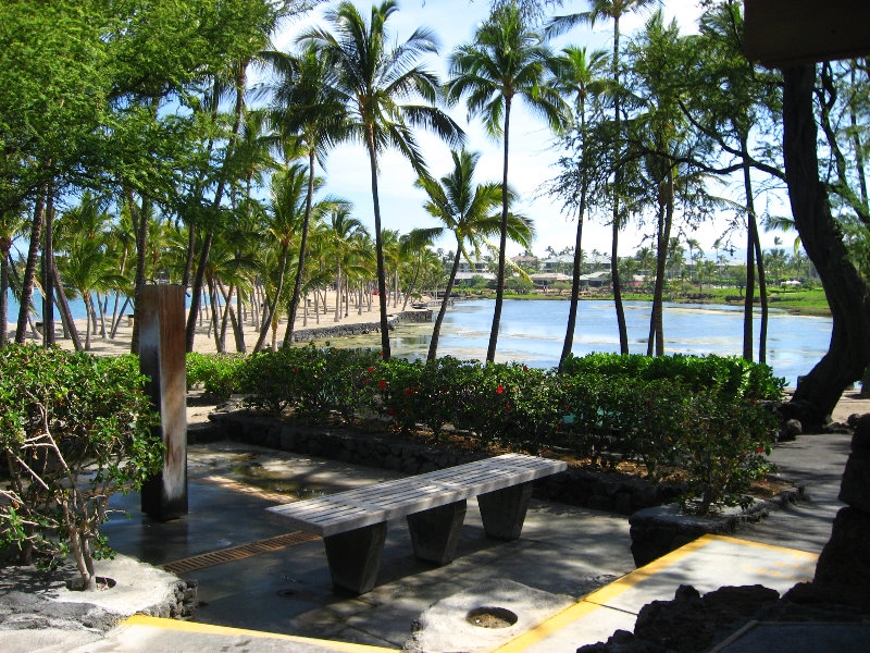 Anaehoomalu-Beach-Snorkeling-Kohala-Coast-Kona-Big-Island-Hawaii-013