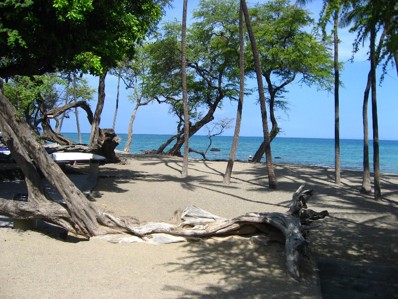 Anaehoomalu-Beach-Snorkeling-Kohala-Coast-Kona-Big-Island-Hawaii-015