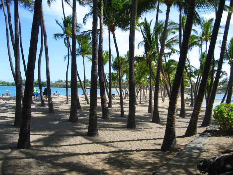 Anaehoomalu-Beach-Snorkeling-Kohala-Coast-Kona-Big-Island-Hawaii-016