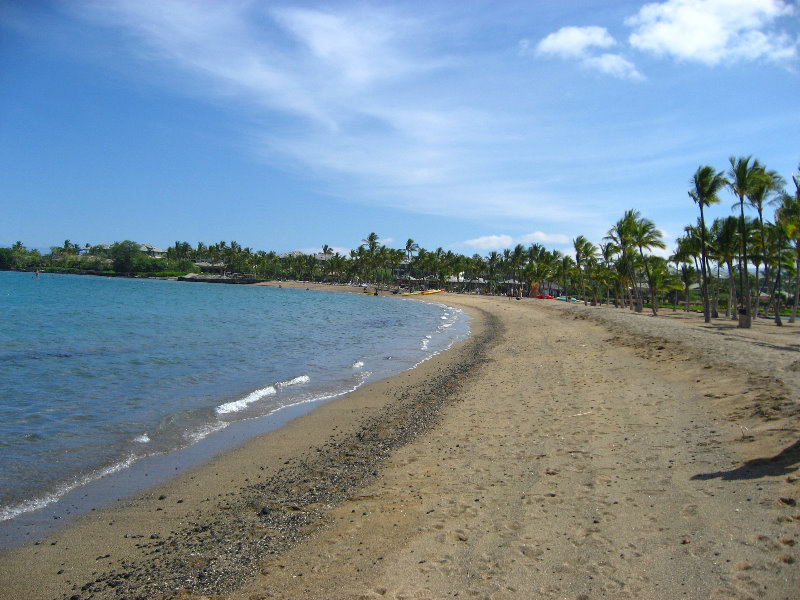 Anaehoomalu-Beach-Snorkeling-Kohala-Coast-Kona-Big-Island-Hawaii-017