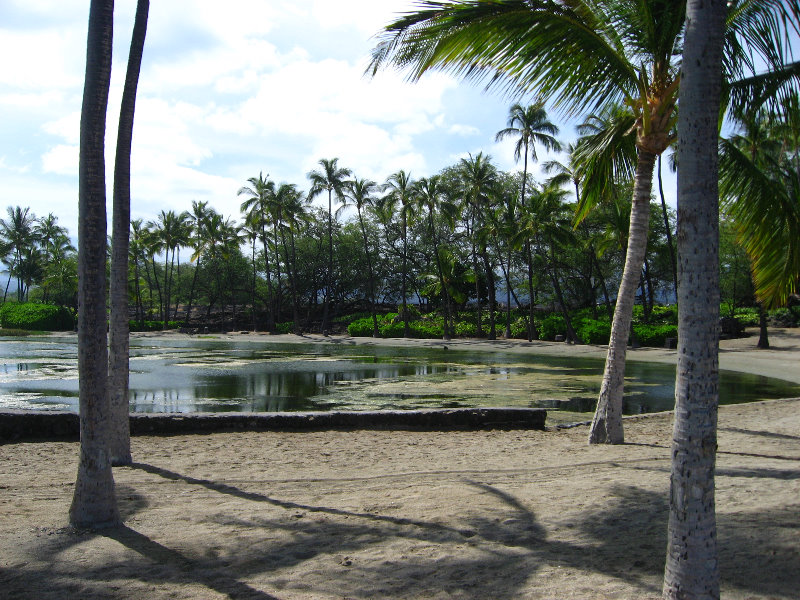 Anaehoomalu-Beach-Snorkeling-Kohala-Coast-Kona-Big-Island-Hawaii-020