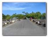 Anaehoomalu-Beach-Snorkeling-Kohala-Coast-Kona-Big-Island-Hawaii-009