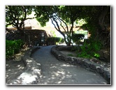 Anaehoomalu-Beach-Snorkeling-Kohala-Coast-Kona-Big-Island-Hawaii-011