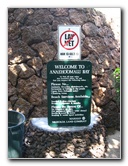 Anaehoomalu-Beach-Snorkeling-Kohala-Coast-Kona-Big-Island-Hawaii-012