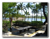 Anaehoomalu-Beach-Snorkeling-Kohala-Coast-Kona-Big-Island-Hawaii-013