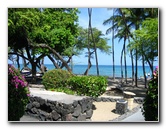 Anaehoomalu-Beach-Snorkeling-Kohala-Coast-Kona-Big-Island-Hawaii-014