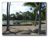 Anaehoomalu-Beach-Snorkeling-Kohala-Coast-Kona-Big-Island-Hawaii-020