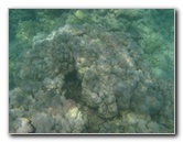 Anaehoomalu-Beach-Snorkeling-Kohala-Coast-Kona-Big-Island-Hawaii-037